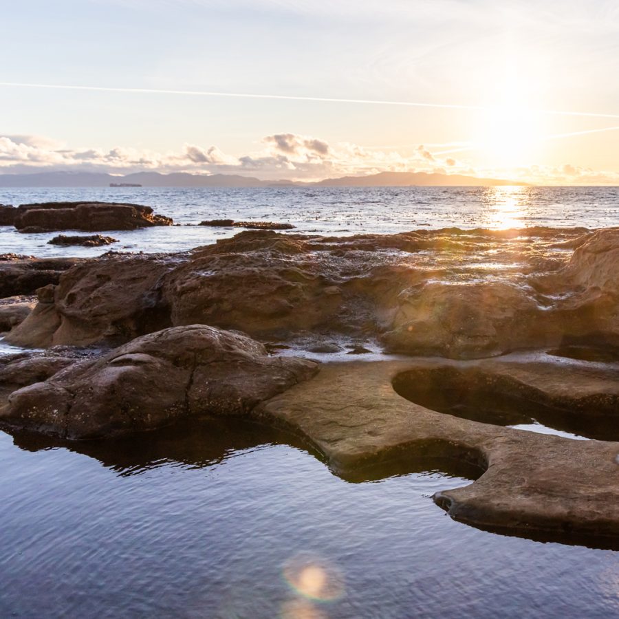 Clean Sea collaboration Front Group